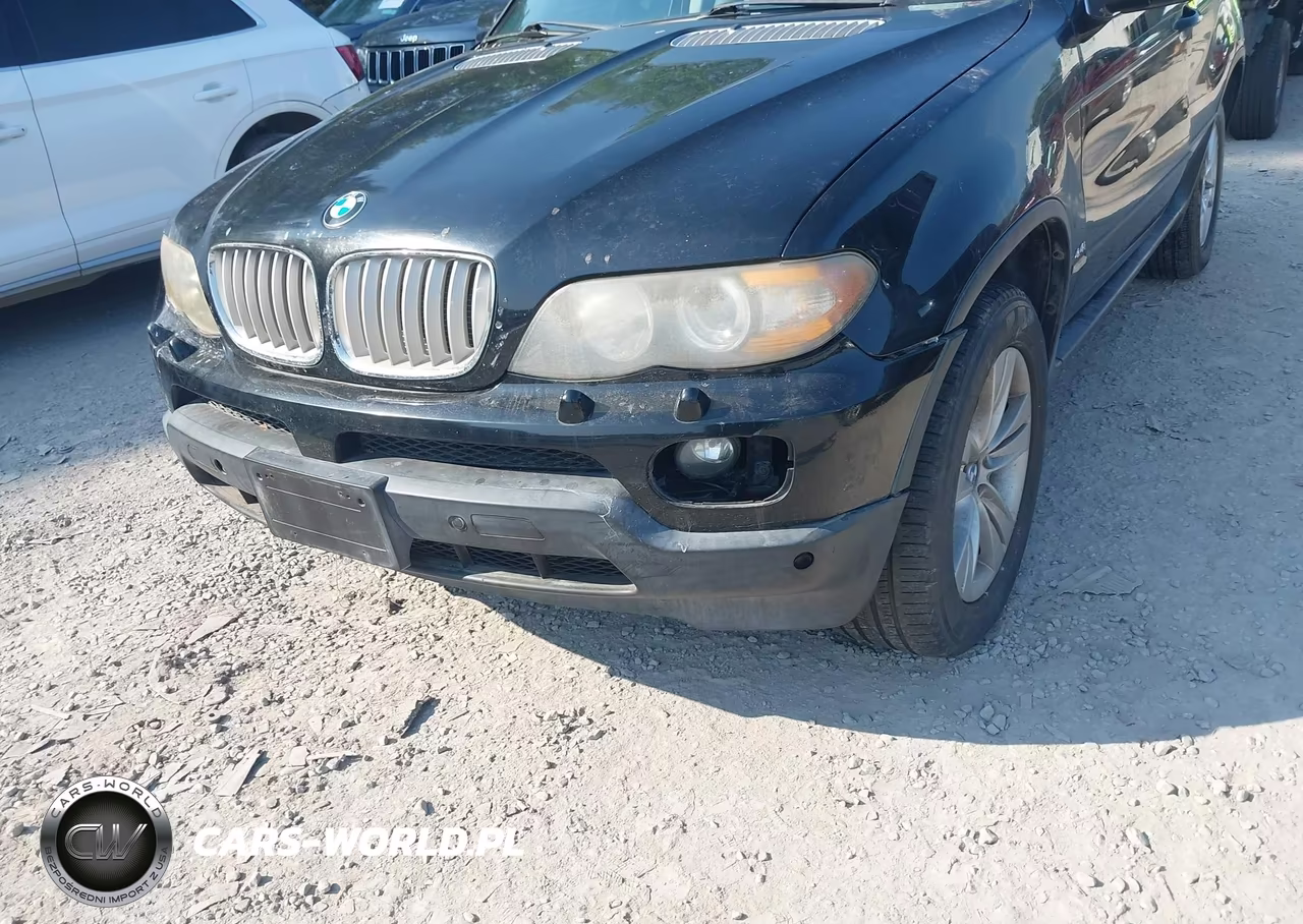 2006 BMW X5 4.4I VIN:5UXFB53556LV28616 - 6