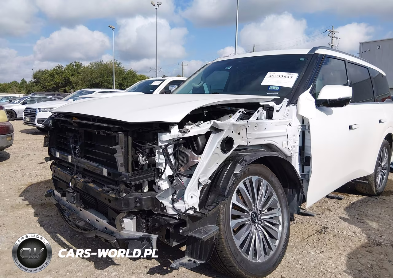 2025 Infiniti Qx80 Luxe VIN:JN8AZ3BA1S9001646 - 6