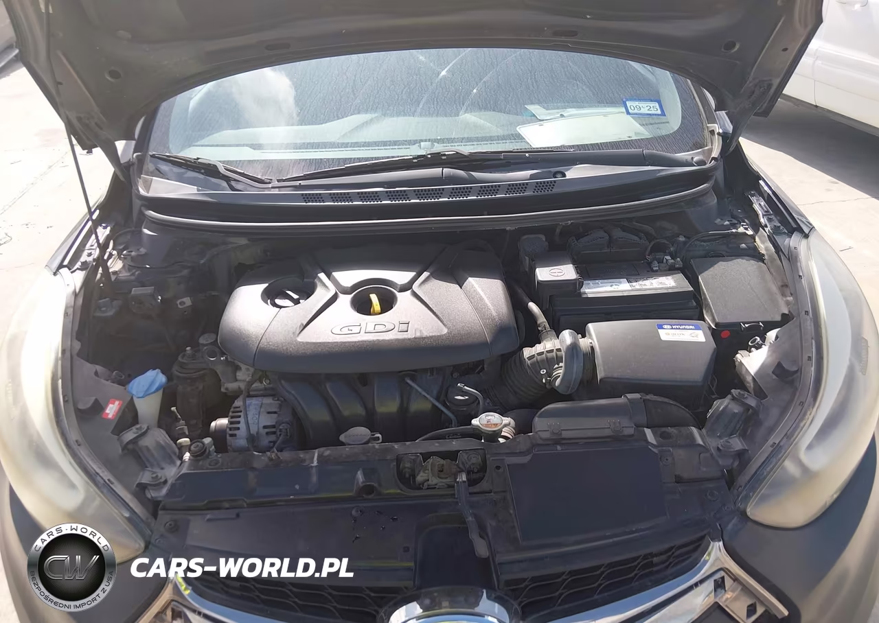 2014 Hyundai Elantra VIN:KMHDH6AH0EU029544 - 10