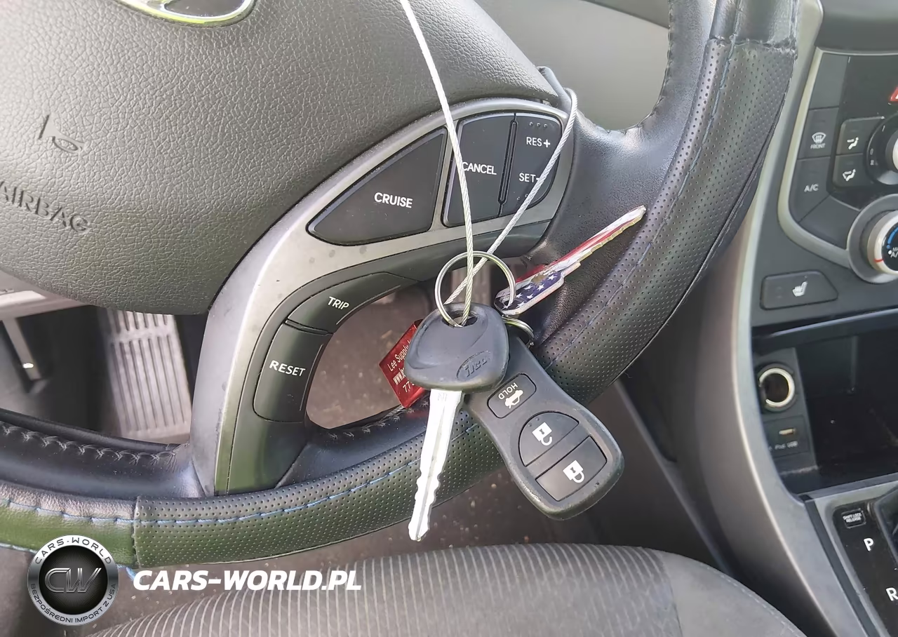 2014 Hyundai Elantra VIN:KMHDH6AH0EU029544 - 11