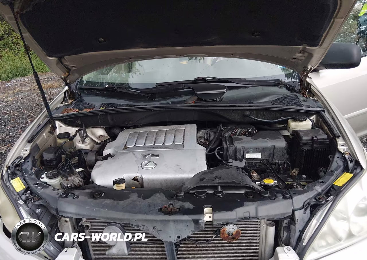 2007 Lexus Rx 350 VIN:2T2HK31U07C034225 - 10