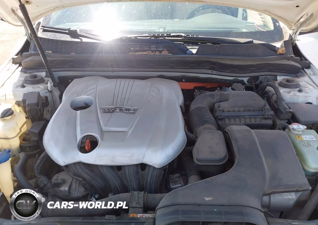 2014 Kia Optima Hybrid Lx VIN:KNAGM4AD1E5064096 - 10