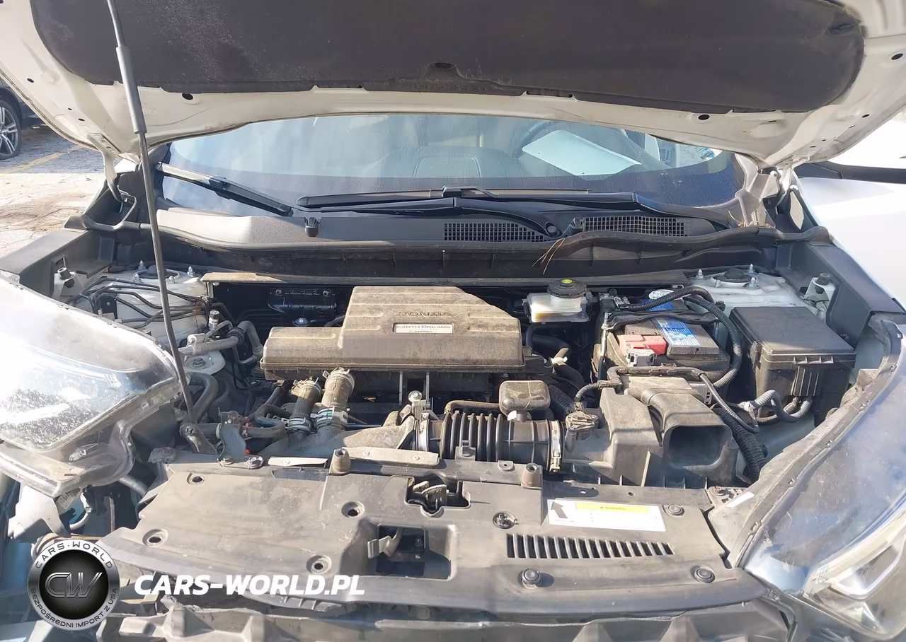2020 Honda Cr-V 2Wd Ex VIN:2HKRW1H59LH423971 - 10