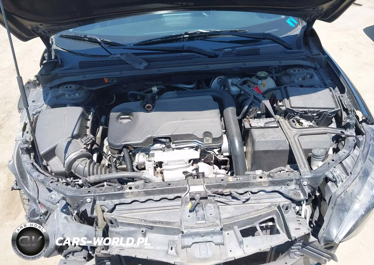 2019 Chevrolet Malibu Lt VIN:1G1ZD5ST6KF176799 - 10