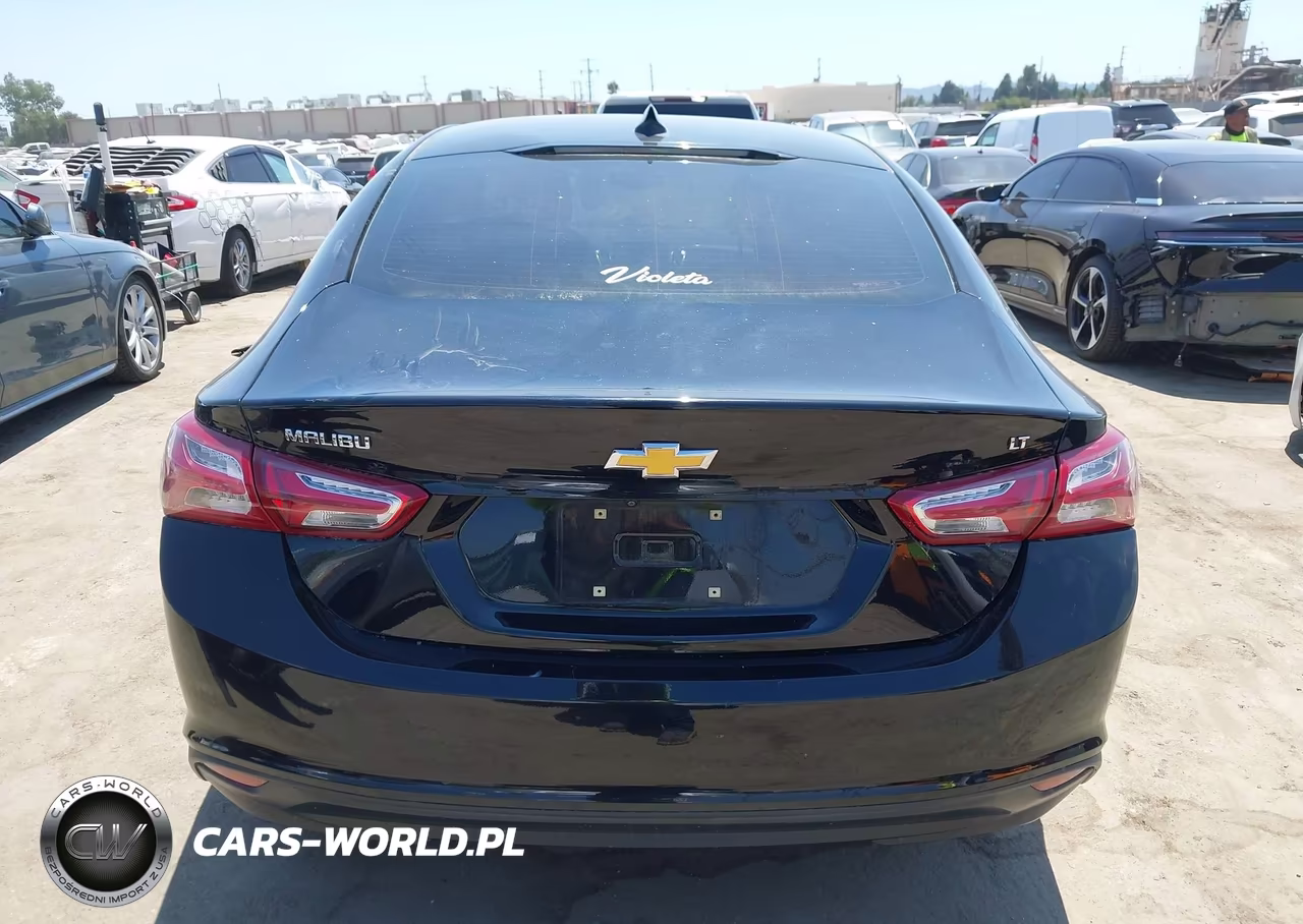 2019 Chevrolet Malibu Lt VIN:1G1ZD5ST6KF176799 - 17