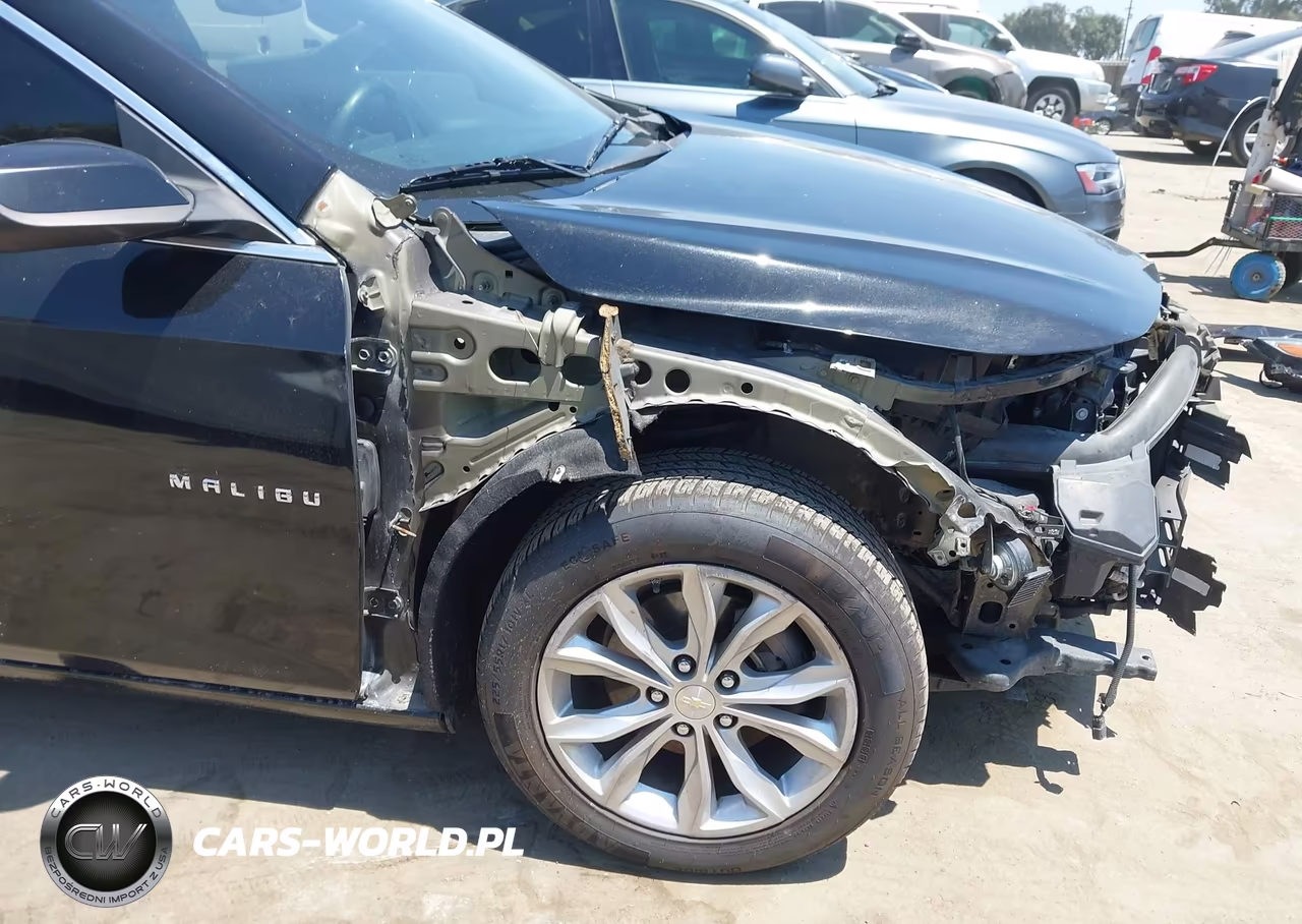 2019 Chevrolet Malibu Lt VIN:1G1ZD5ST6KF176799 - 19