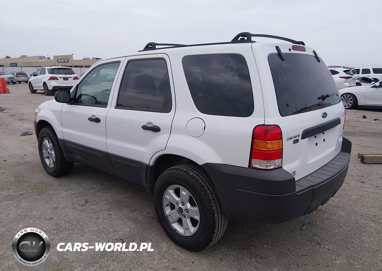 2007 Ford Escape Xlt VIN:1FMYU03Z47KB90381 - 3
