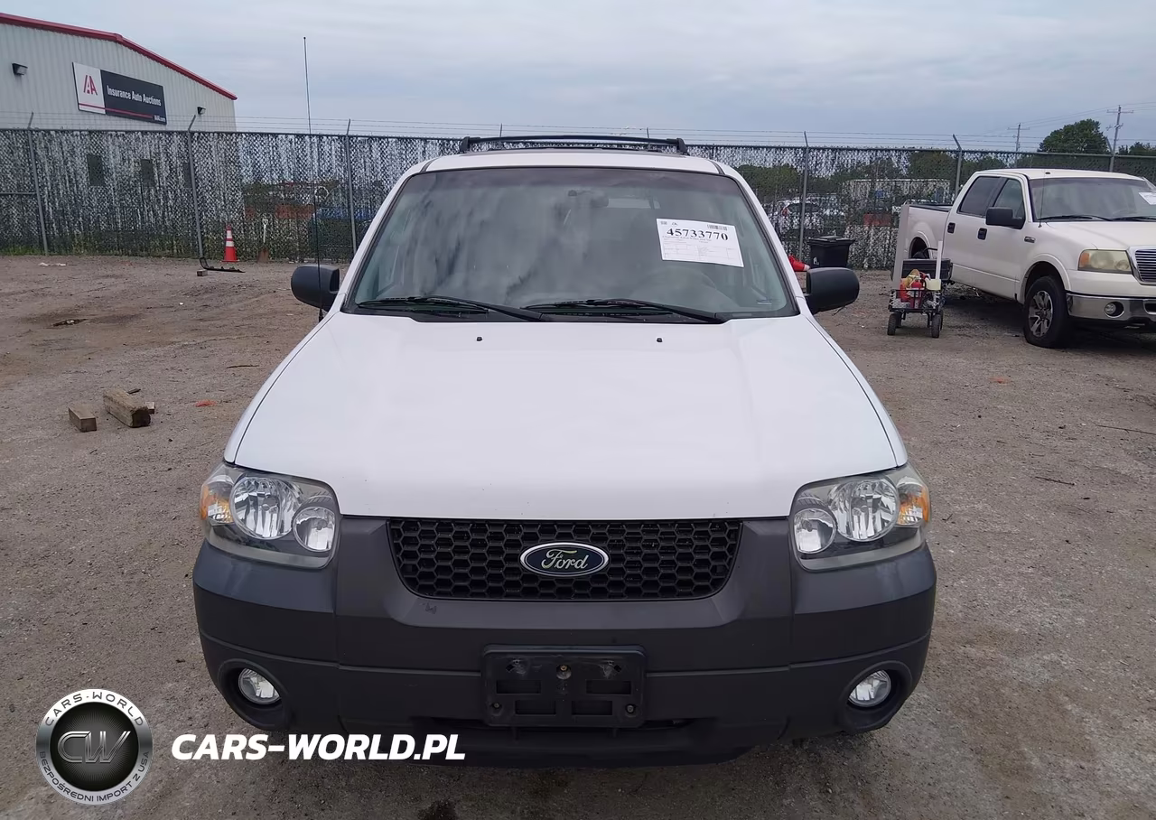 2007 Ford Escape Xlt VIN:1FMYU03Z47KB90381 - 6