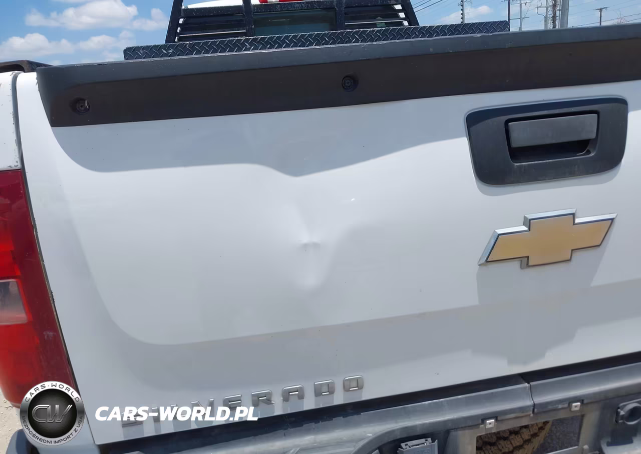2013 Chevrolet Silverado 2500Hd Work Truck VIN:1GC2CVCG5DZ177571 - 19