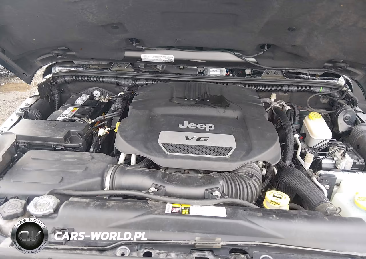 2016 Jeep Wrangler Unlimited Sahara VIN:1C4BJWEG9GL180988 - 10