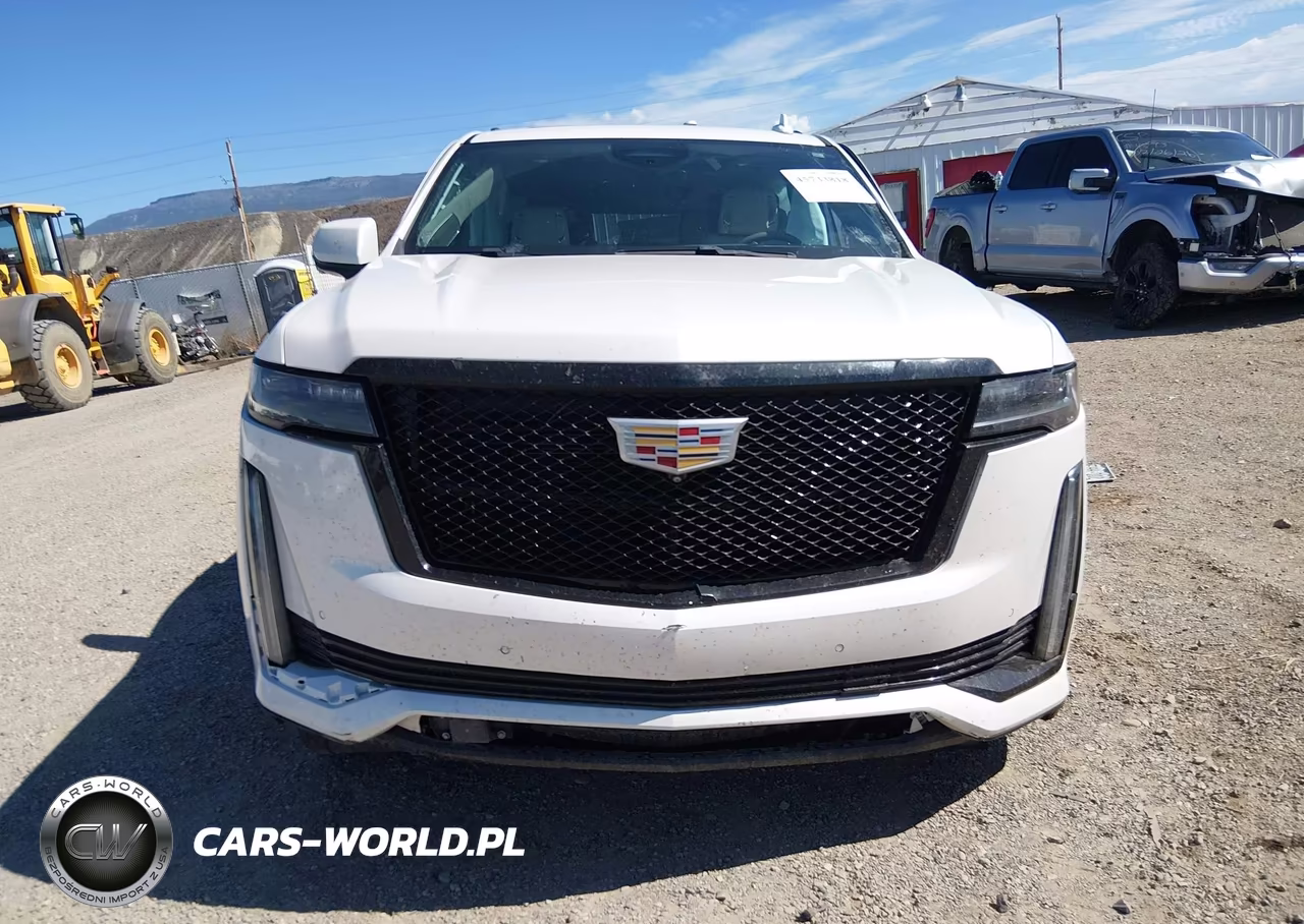2022 Cadillac Escalade Esv 4Wd Sport Platinum VIN:1GYS4RKL1NR125143 - 12