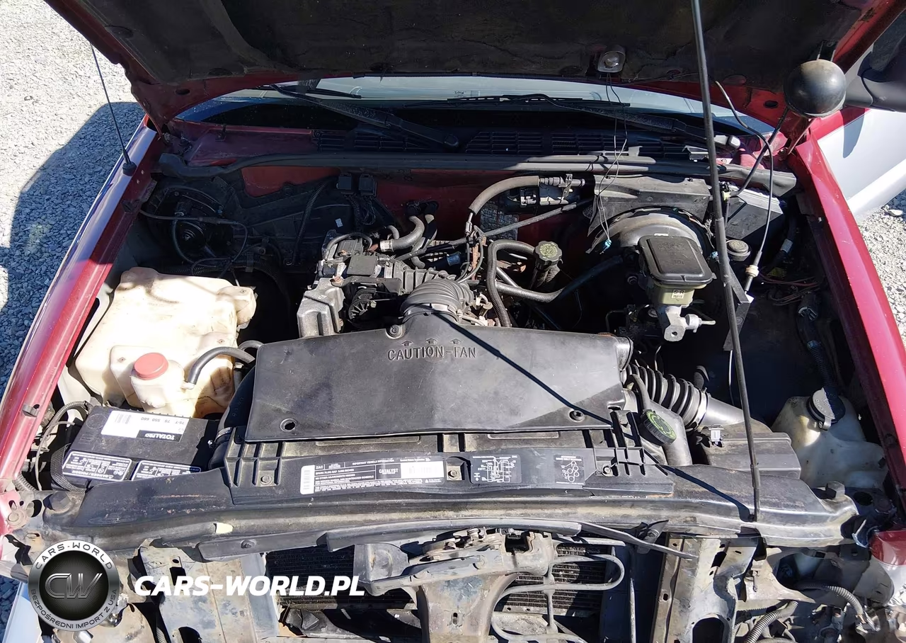 1994 Chevrolet S Truck S10 VIN:1GCCS1948R8233044 - 10