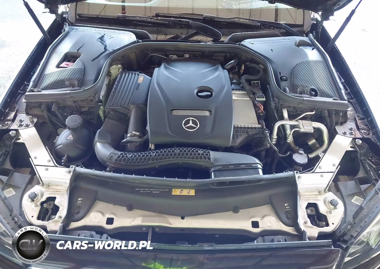 2017 Mercedes-Benz E 300 VIN:WDDZF4JB1HA202953 - 10