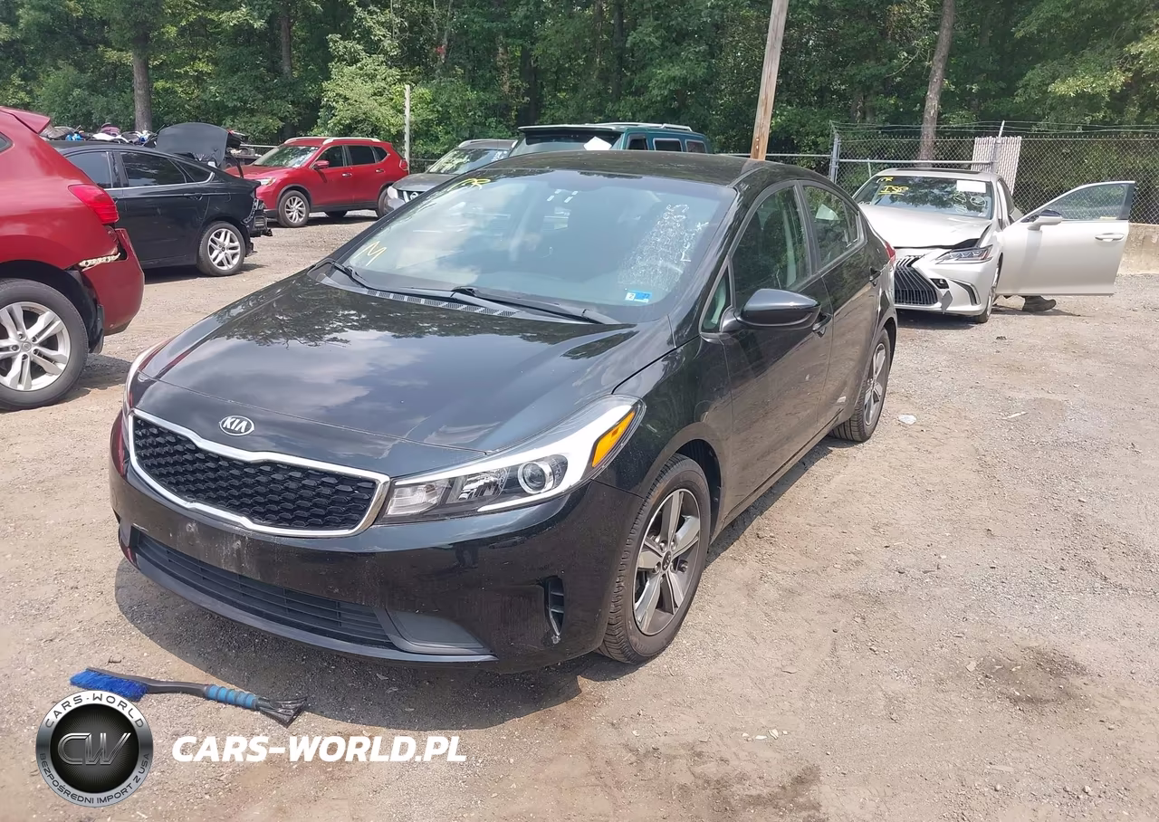 2018 Kia Forte Lx VIN:3KPFL4A72JE198271 - 2