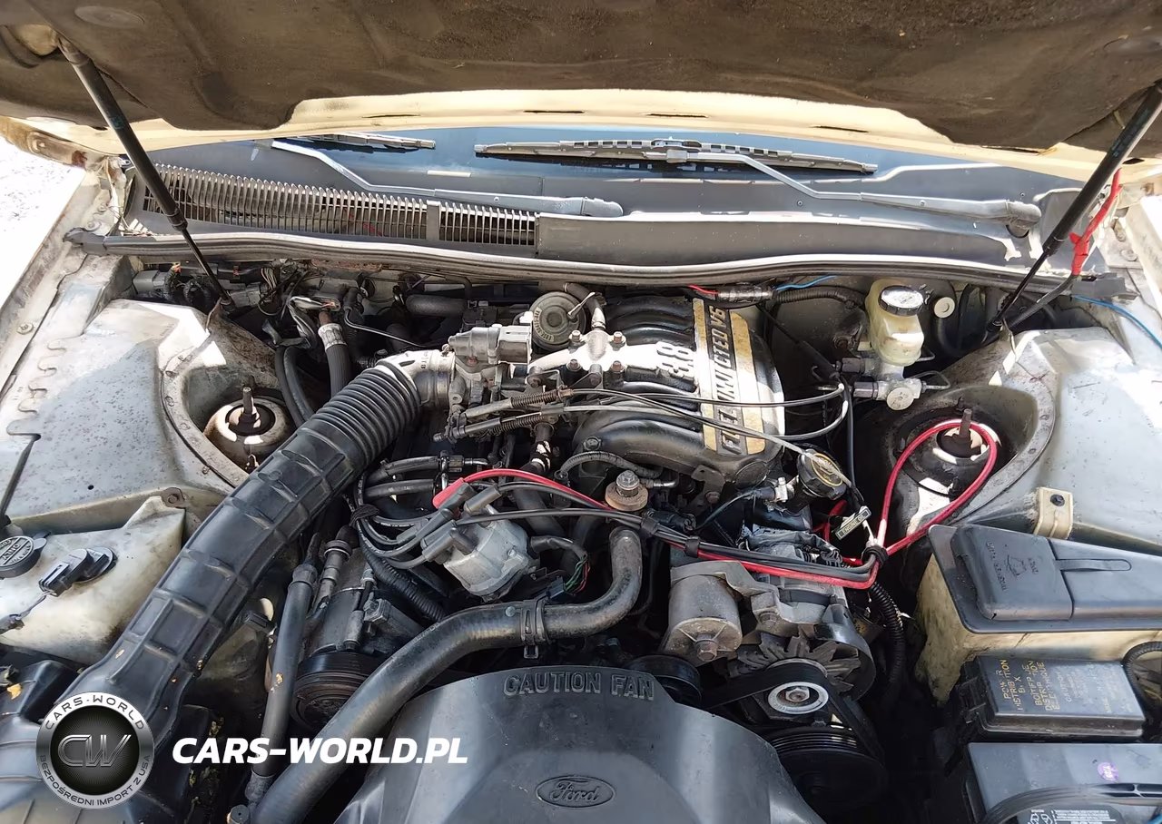 1989 Ford Thunderbird Lx VIN:1FAPP624XKH108455 - 10