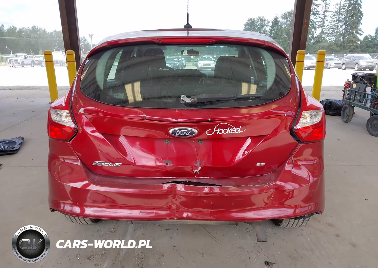 2013 Ford Focus Se VIN:1FADP3K28DL301719 - 17