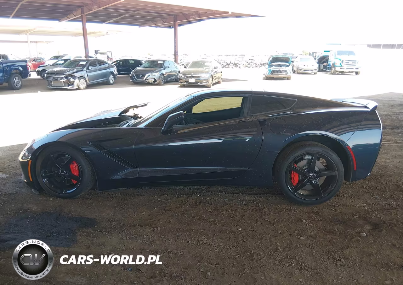 2014 Chevrolet Corvette Stingray VIN:1G1YF2D76E5118755 - 13