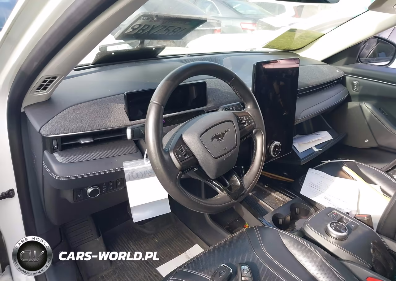2022 Ford Mustang Mach-E Premium VIN:3FMTK3R73NMA19585 - 22