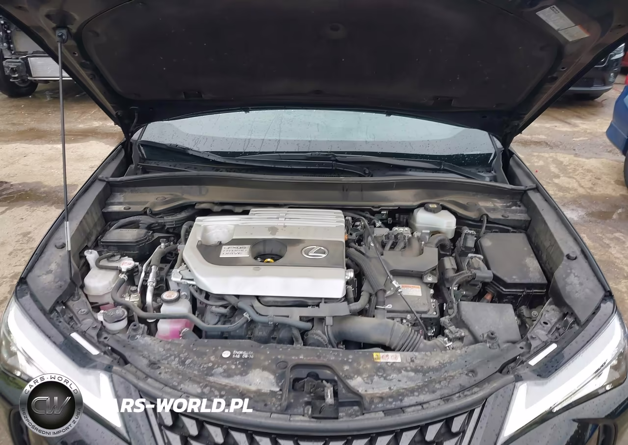 2022 Lexus Ux 250H VIN:JTHP9JBH0N2061503 - 10