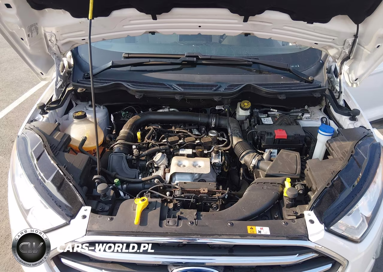 2020 Ford Ecosport Titanium VIN:MAJ3S2KE1LC313479 - 10