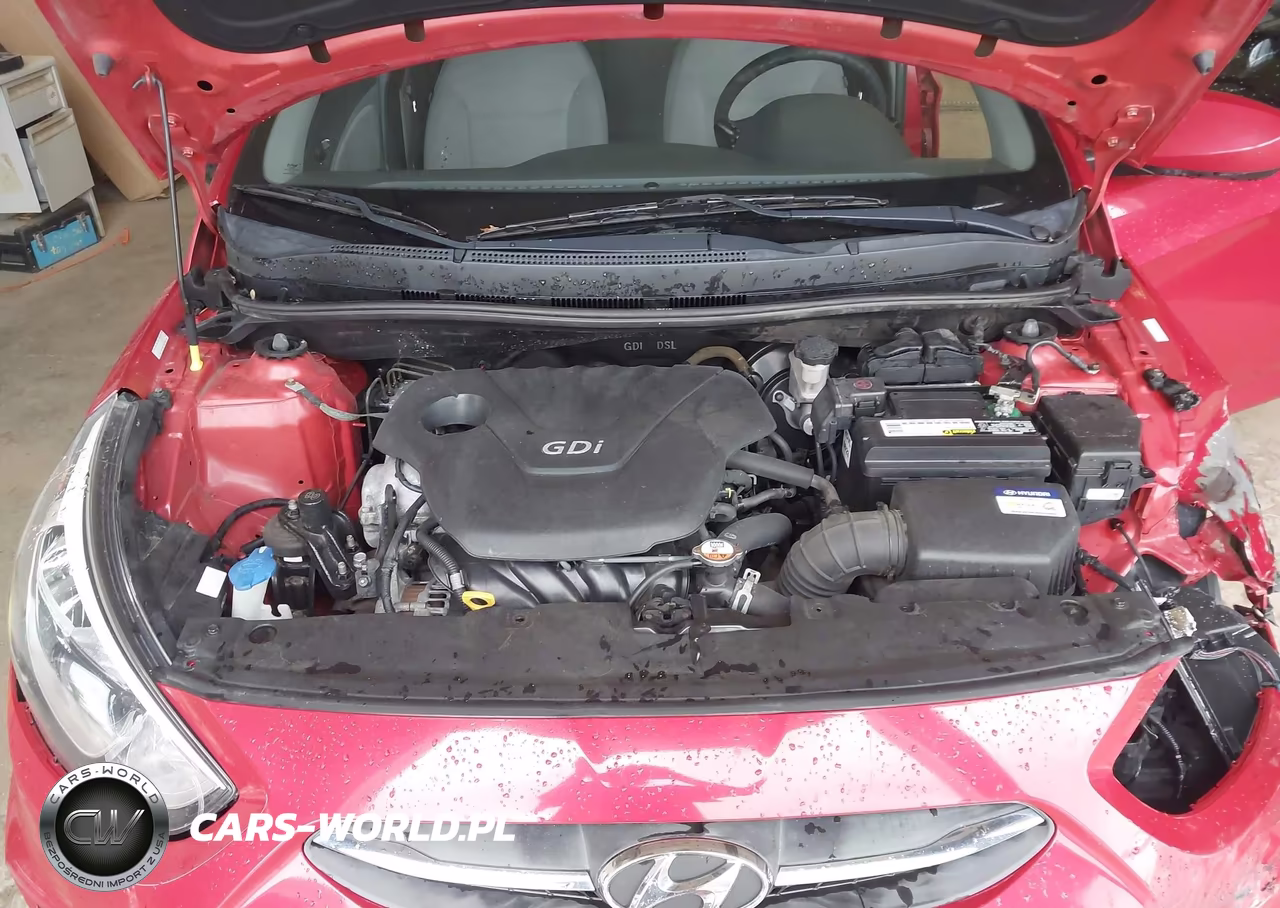2016 Hyundai Accent Se VIN:KMHCT4AE6GU078321 - 10