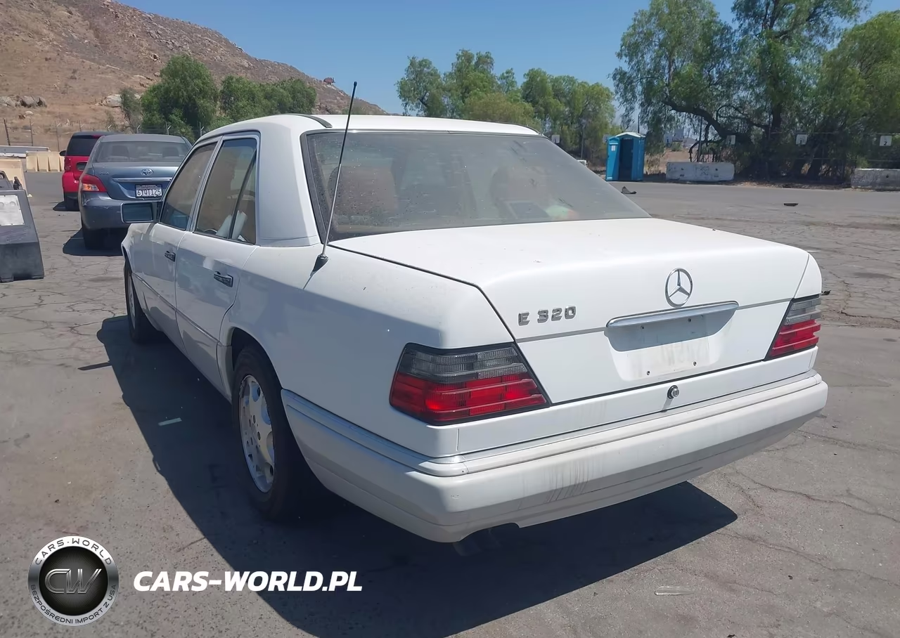 1995 Mercedes-Benz E 320 Base-320 Special VIN:WDBEA32E1SC187259 - 3