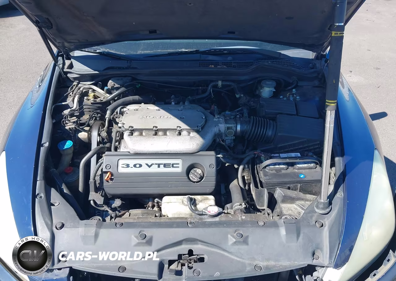 2004 Honda Accord 3.0 Ex VIN:1HGCM66554A065483 - 10