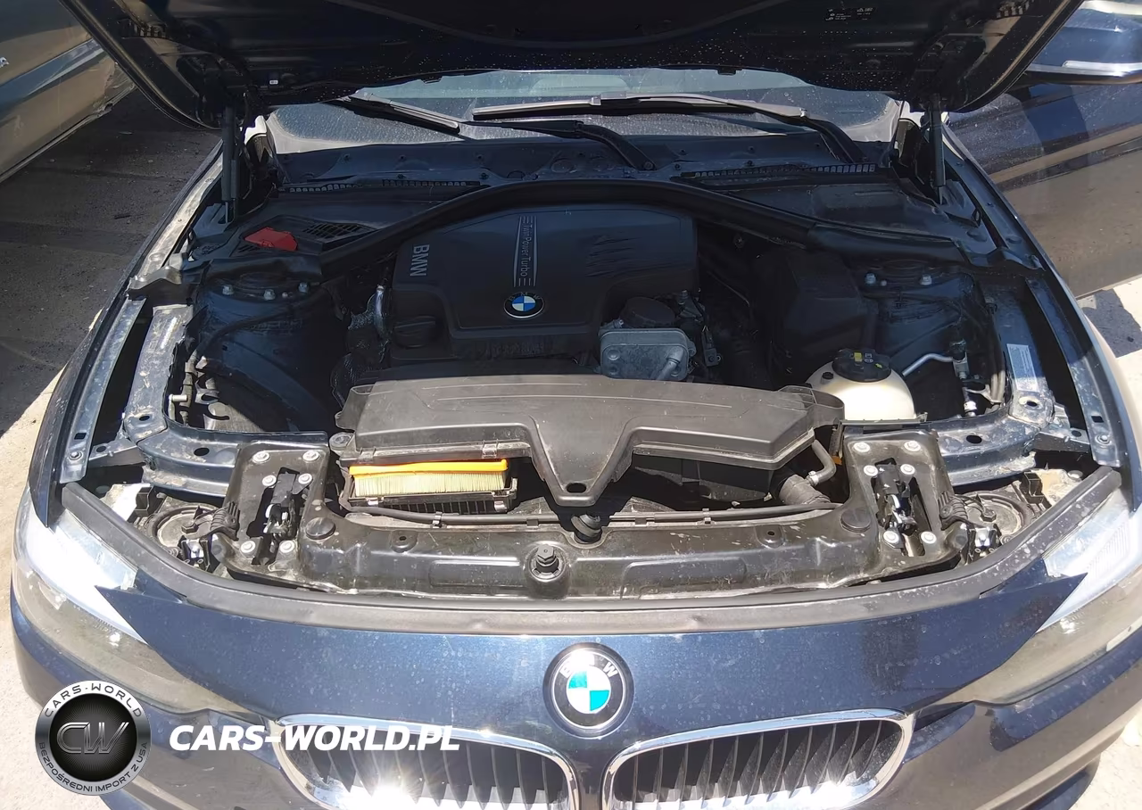 2016 BMW 320I VIN:WBA8A9C56GK616566 - 10