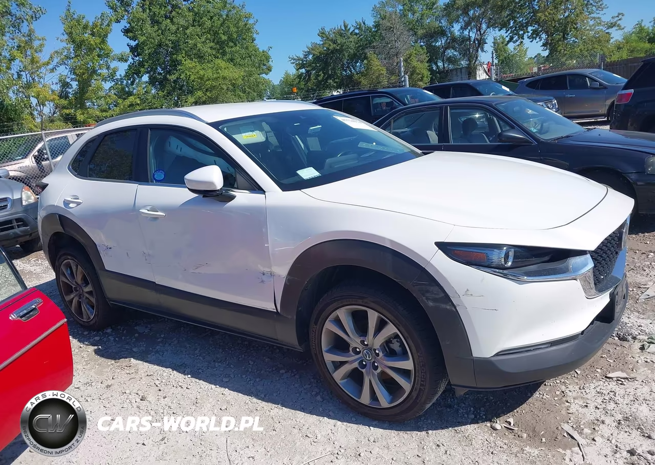 2023 Mazda Cx-30 2.5 S Preferred VIN:3MVDMBCM6PM581929 - 13