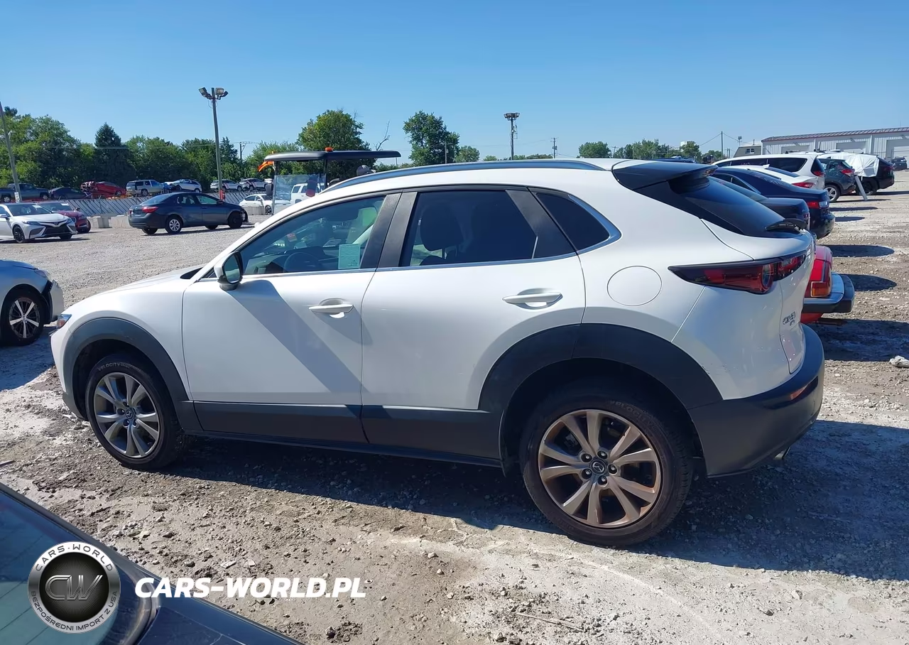 2023 Mazda Cx-30 2.5 S Preferred VIN:3MVDMBCM6PM581929 - 14