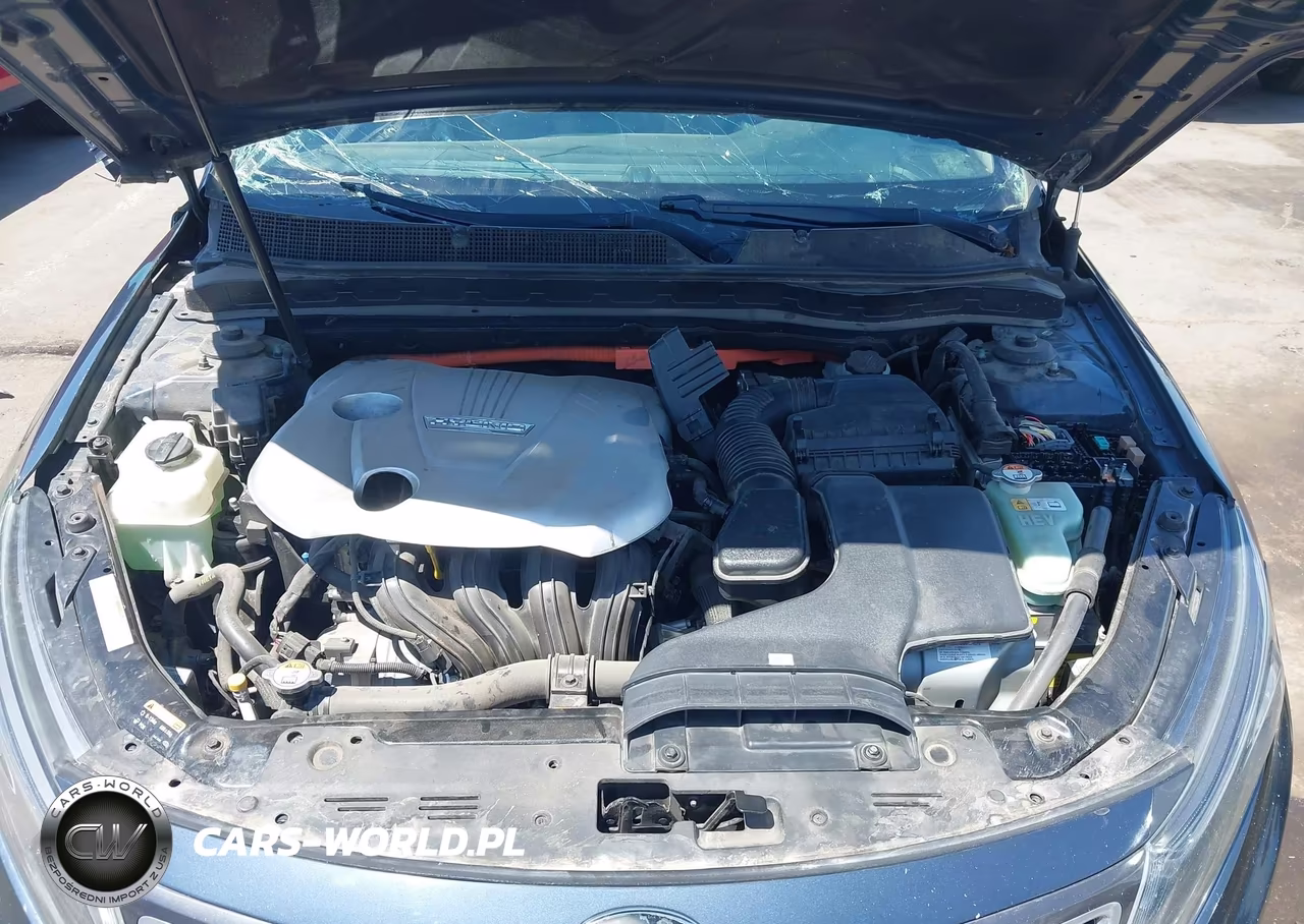 2014 Kia Optima Hybrid Ex VIN:KNAGN4AD7E5066514 - 10