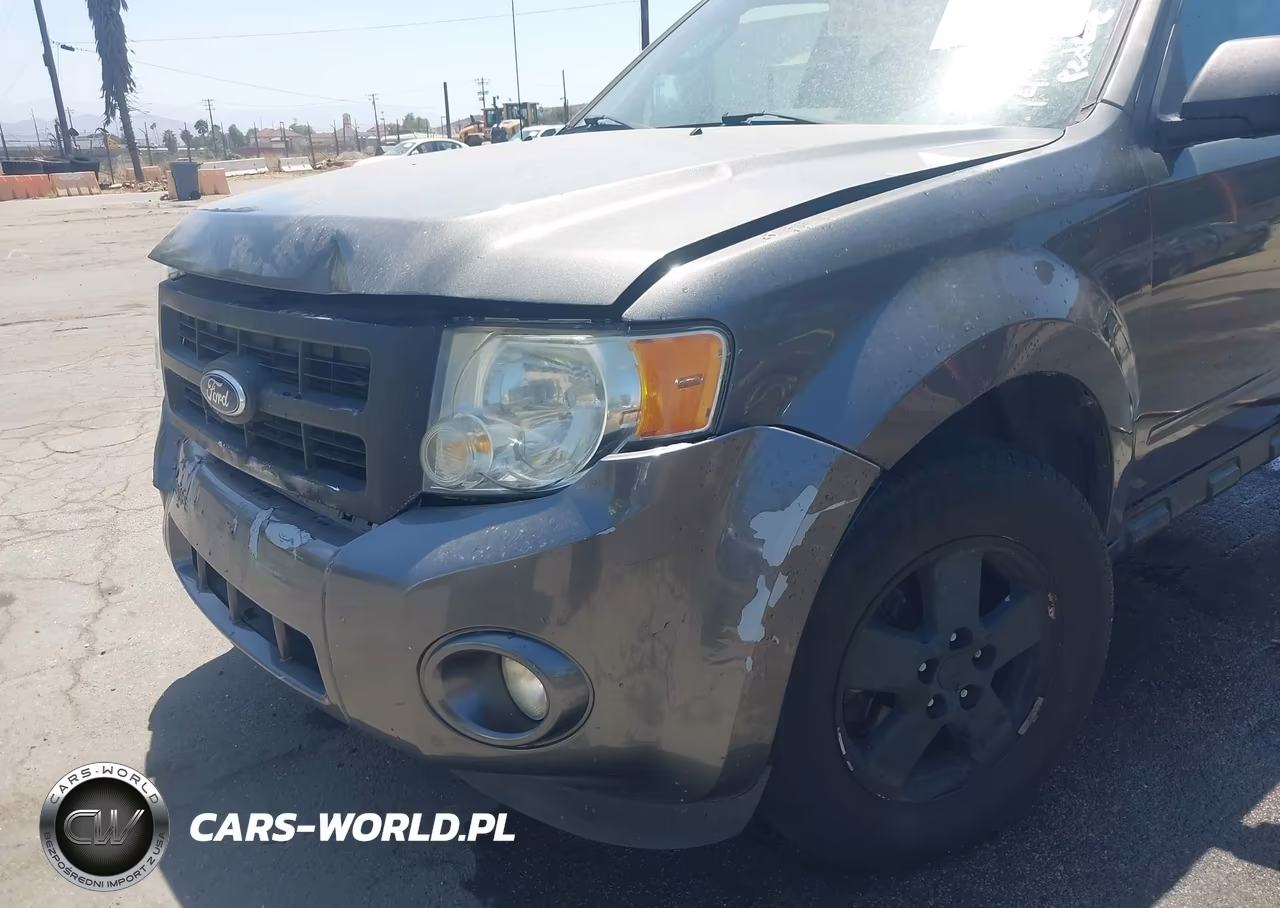 2011 Ford Escape Xlt VIN:1FMCU0DG5BKA98843 - 12