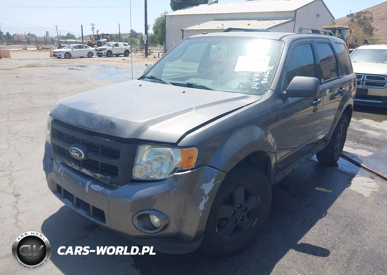 2011 Ford Escape Xlt VIN:1FMCU0DG5BKA98843 - 2