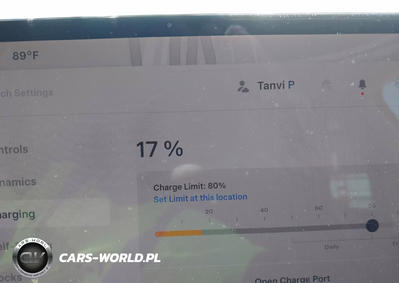 2026 Tesla Model Y All-Wheel Drive-Long Range Launch Series-Premium All-Wheel Drive VIN:7SAYGDEE4TF543614 - 17