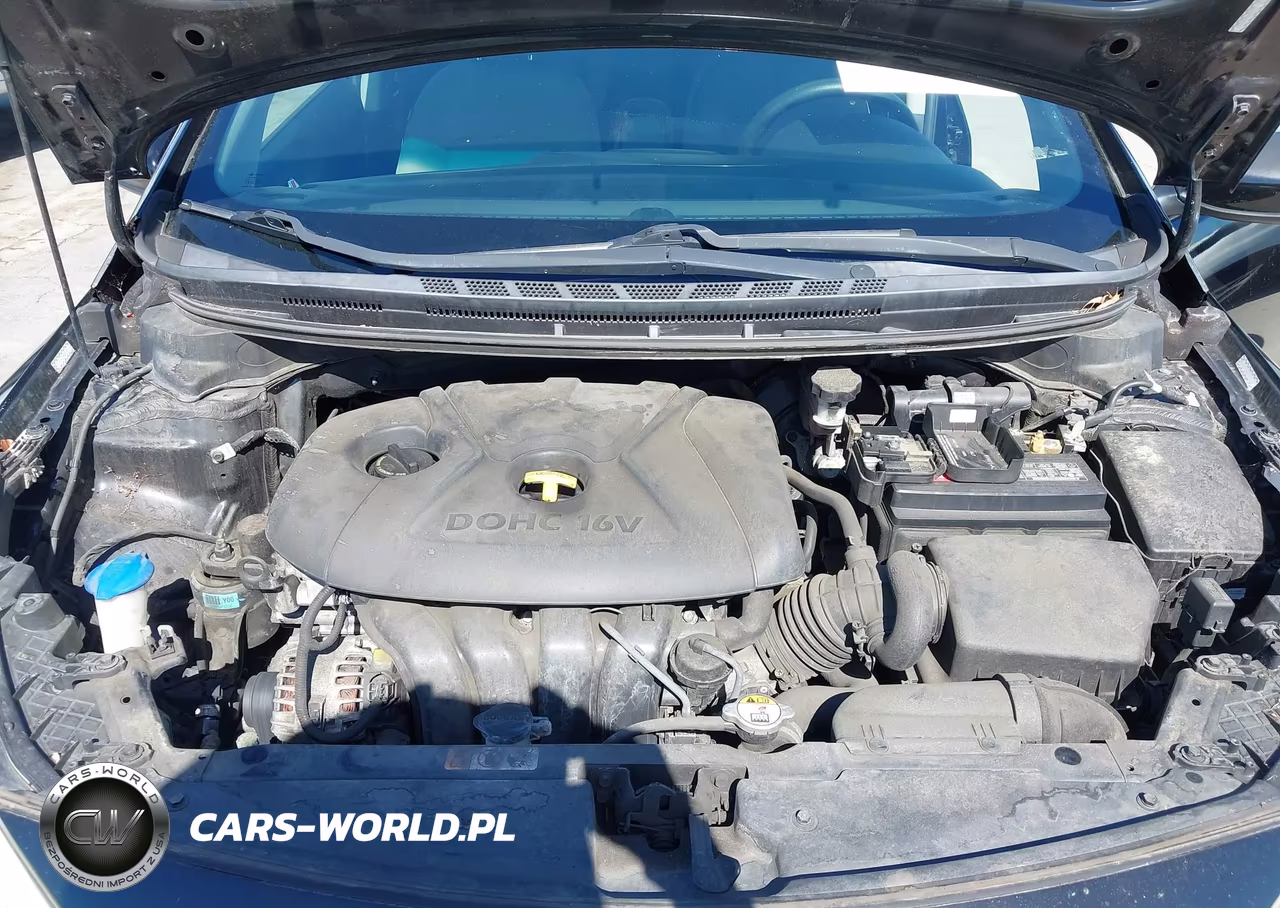 2015 Kia Forte Lx VIN:KNAFK4A6XF5425488 - 10