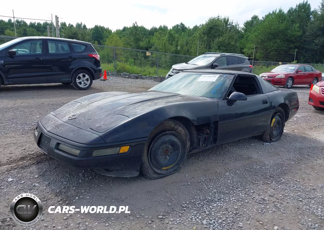 1992 Chevrolet Corvette VIN:1G1YY23P8N5116937 - 2