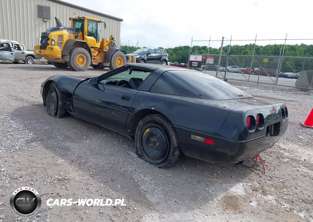 1992 Chevrolet Corvette VIN:1G1YY23P8N5116937 - 3