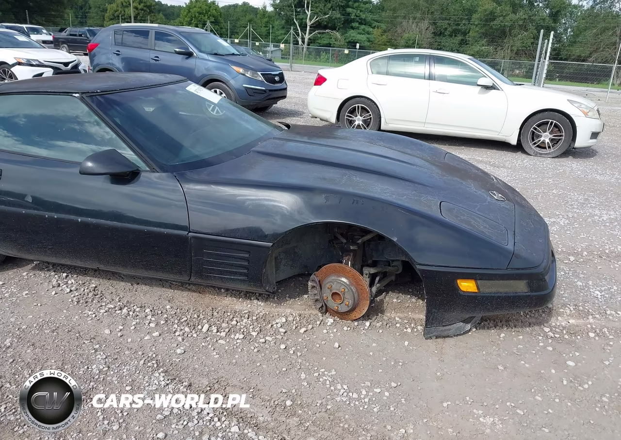 1992 Chevrolet Corvette VIN:1G1YY23P8N5116937 - 6