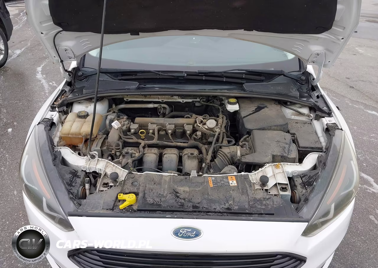 2018 Ford Focus Sel VIN:1FADP3M20JL236289 - 10