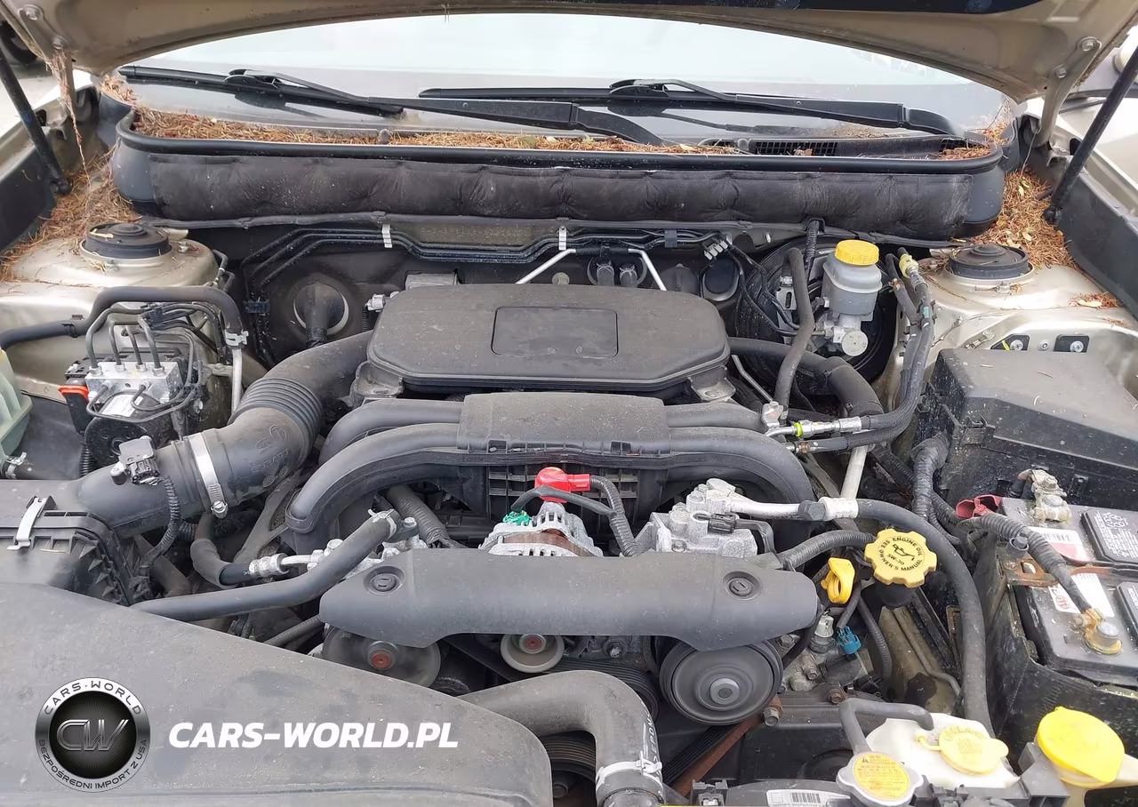 2010 Subaru Outback 2.5I Premium VIN:4S4BRBGC8A3323329 - 10