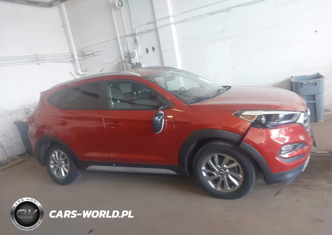 2017 Hyundai Tucson Eco VIN:KM8J3CA2XHU421933 - 13