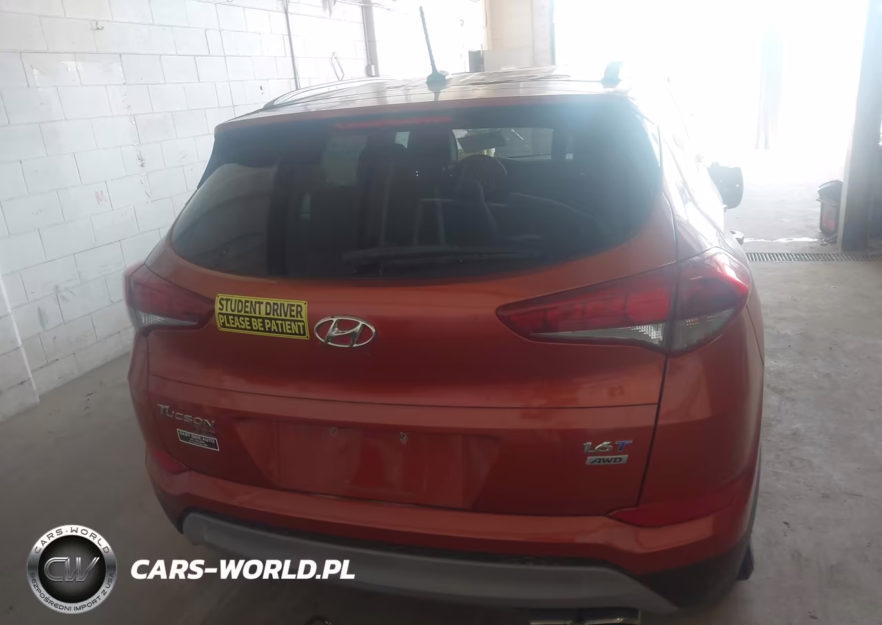 2017 Hyundai Tucson Eco VIN:KM8J3CA2XHU421933 - 16