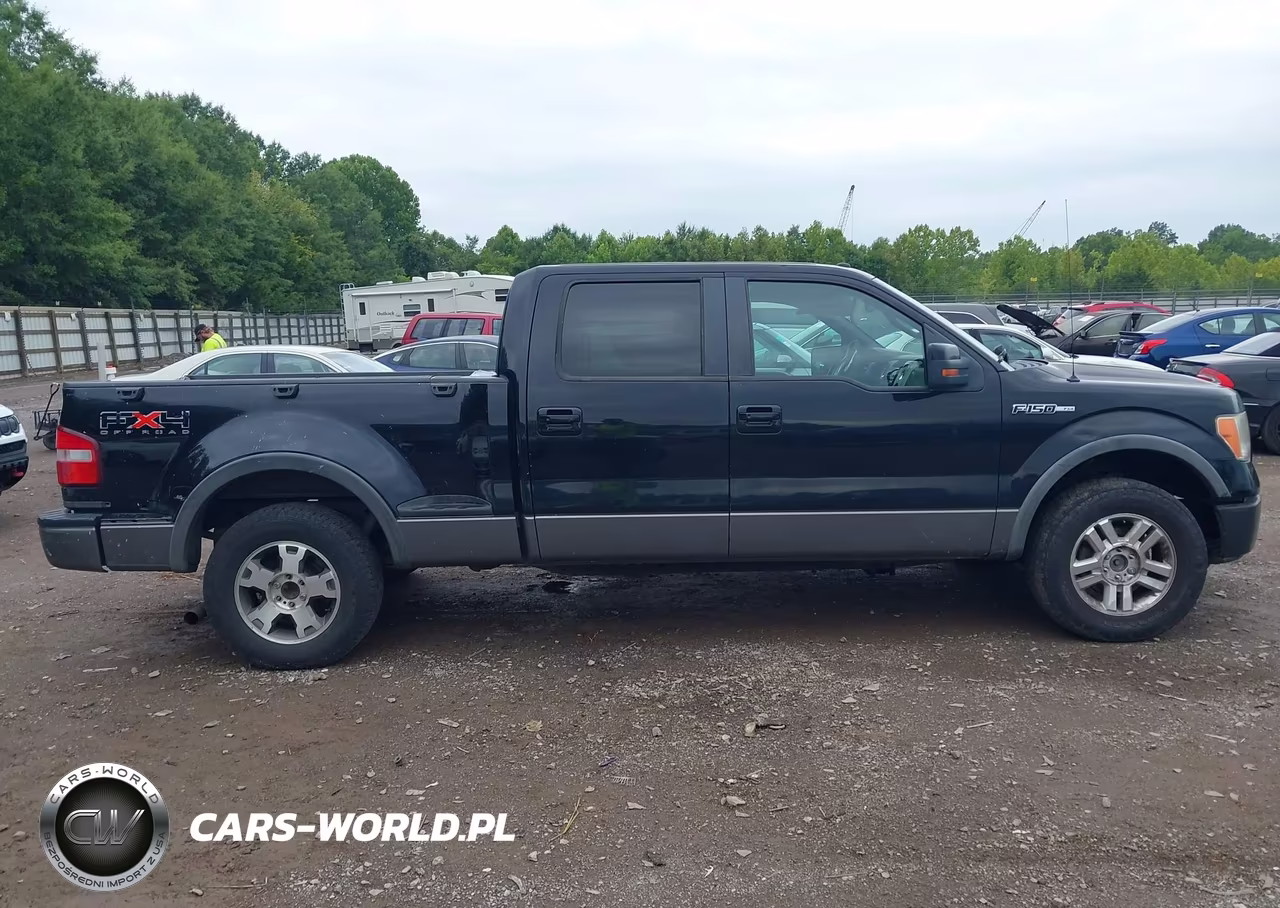2009 Ford F-150 Fx4-Xlt VIN:1FTPW04V49KA89057 - 13