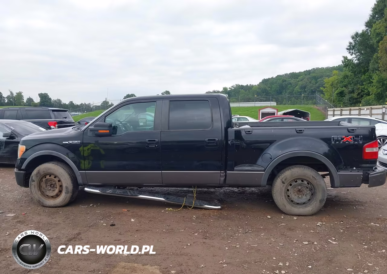 2009 Ford F-150 Fx4-Xlt VIN:1FTPW04V49KA89057 - 14