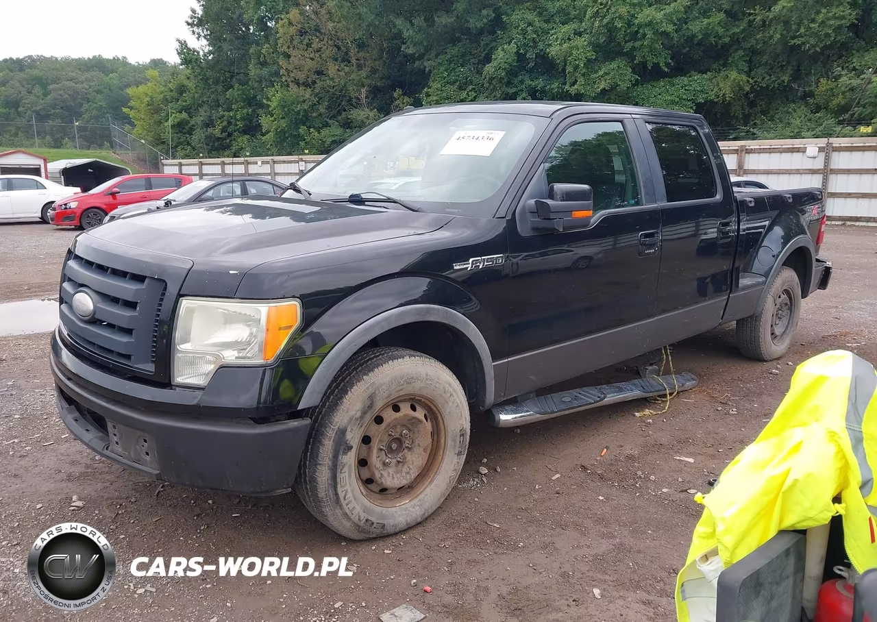 2009 Ford F-150 Fx4-Xlt VIN:1FTPW04V49KA89057 - 2