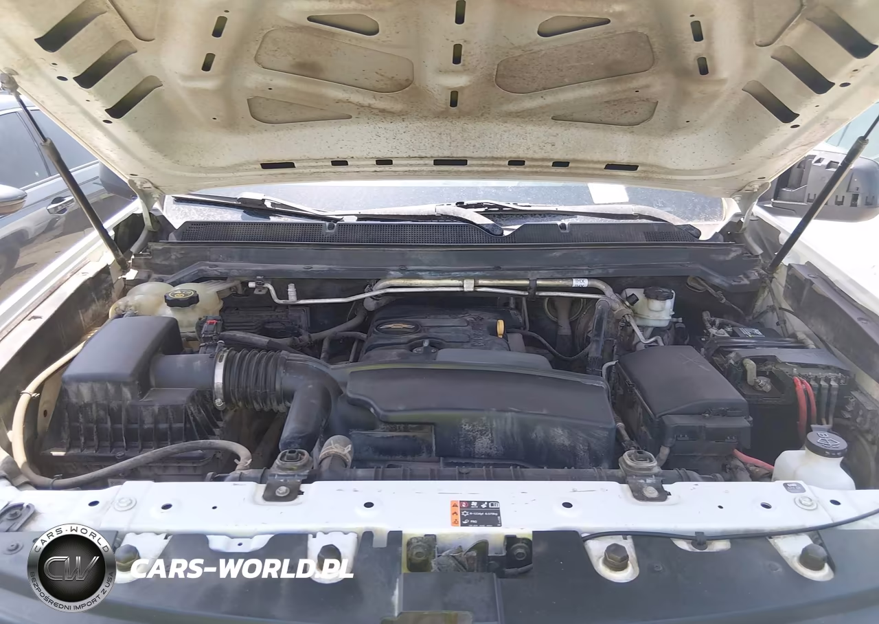 2019 Chevrolet Colorado Wt VIN:1GCHTBEA9K1173570 - 10
