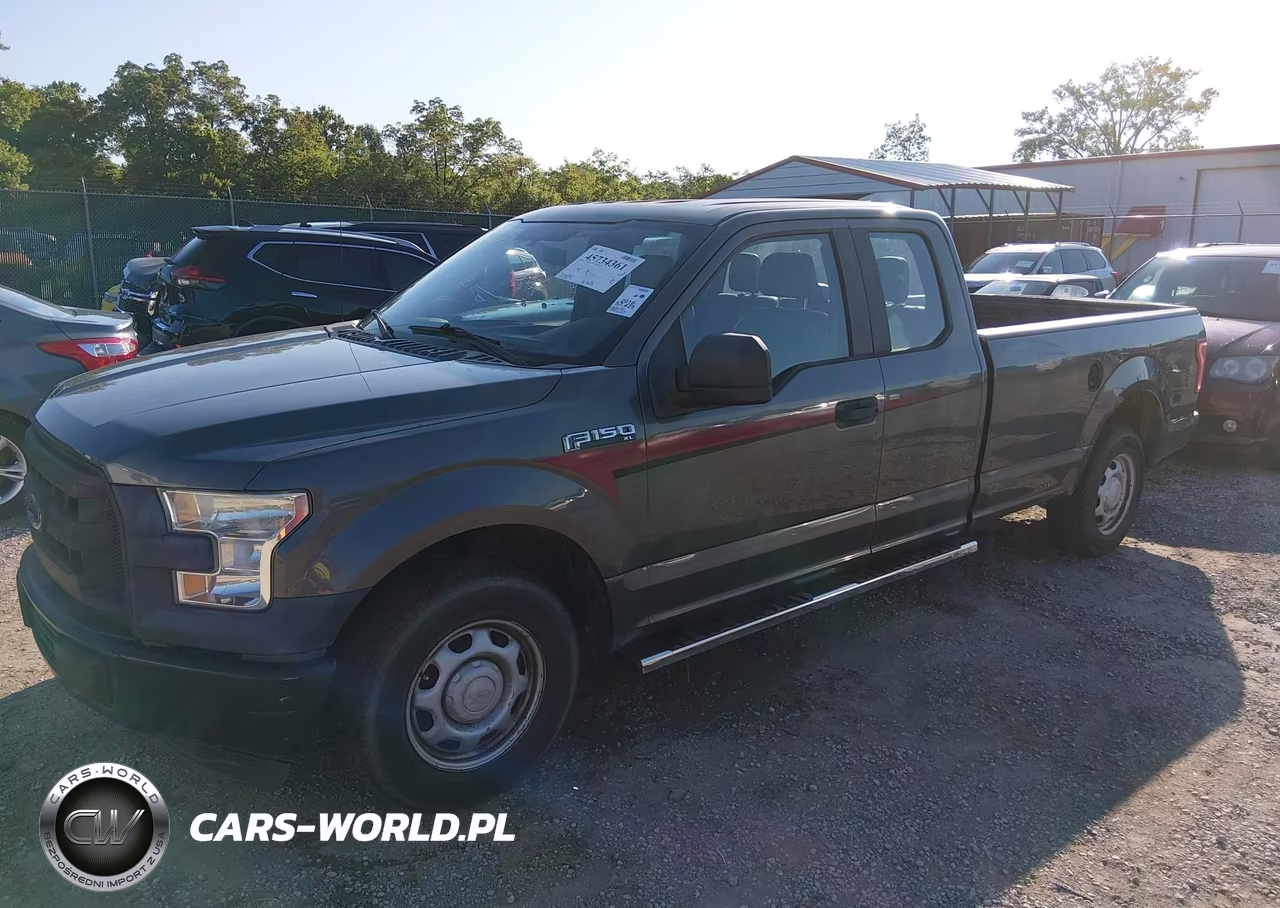 2016 Ford F-150 Xl VIN:1FTEX1CF9GKD66819 - 19