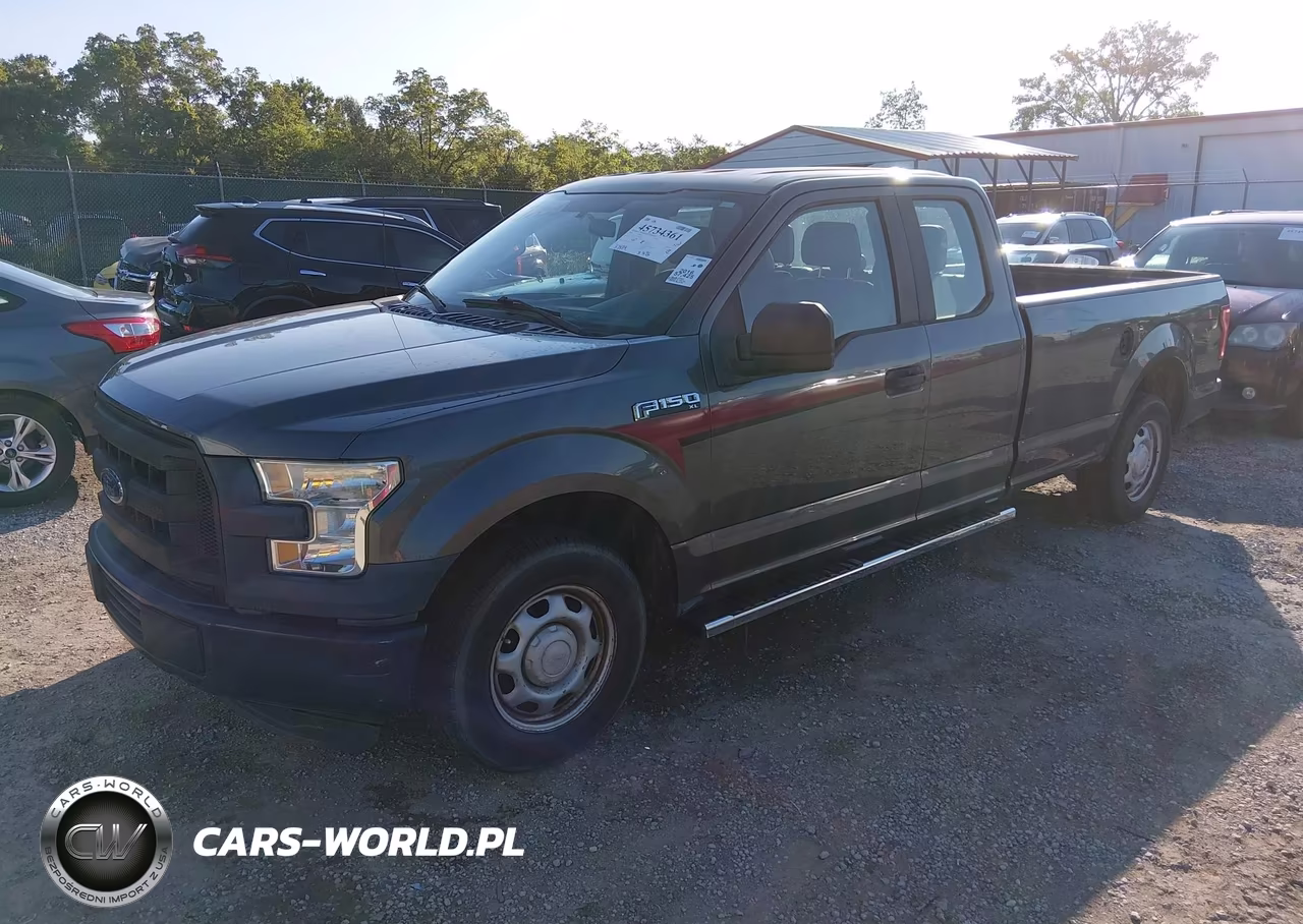 2016 Ford F-150 Xl VIN:1FTEX1CF9GKD66819 - 2