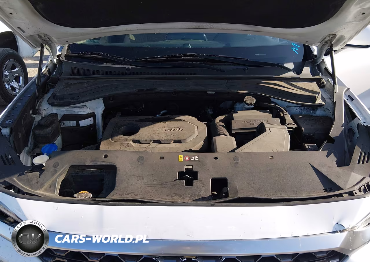 2020 Hyundai Santa Fe Sel VIN:5NMS33AD6LH218967 - 10