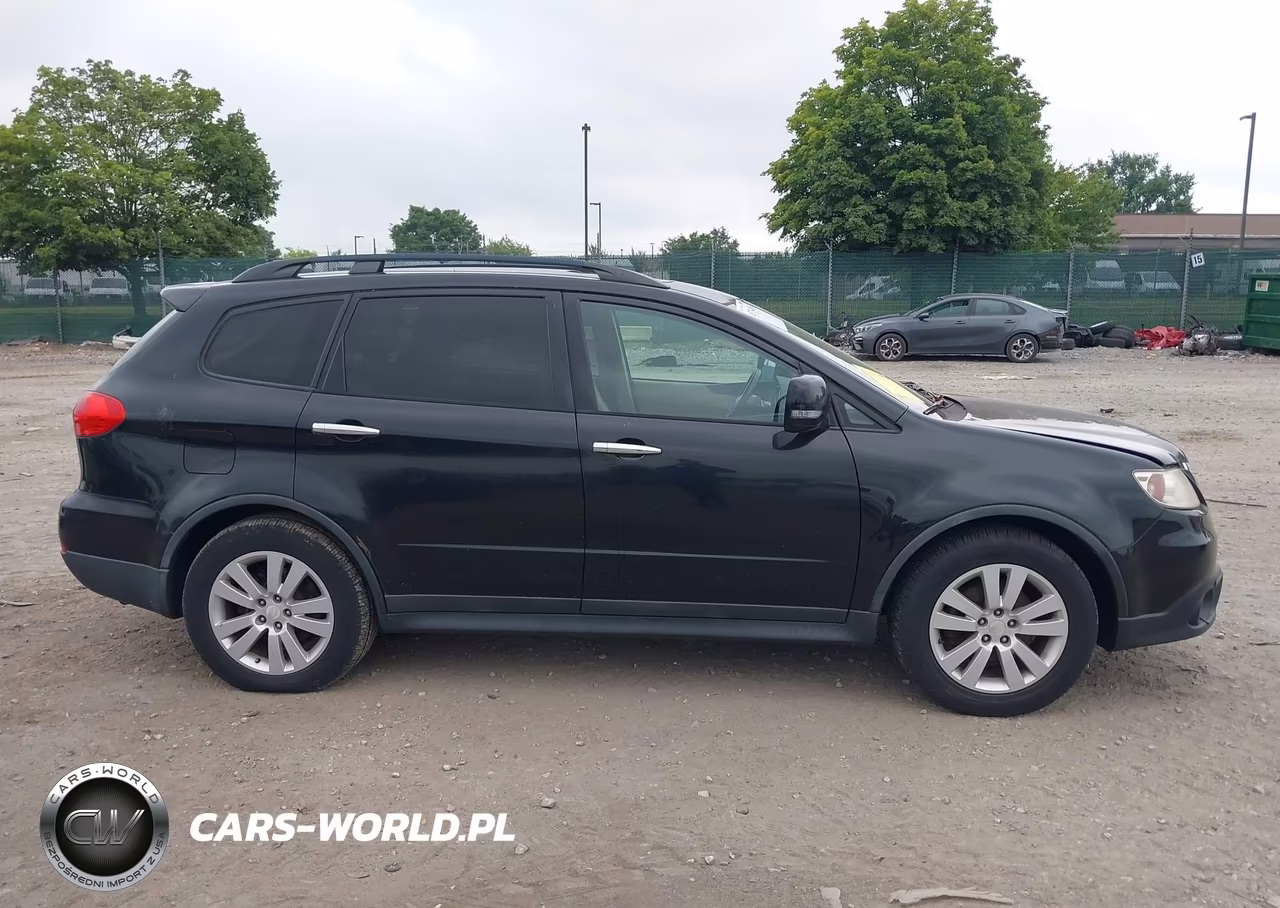 2009 Subaru Tribeca Limited 7-Passenger-Special Edition 7-Passenger VIN:4S4WX97D194401304 - 12